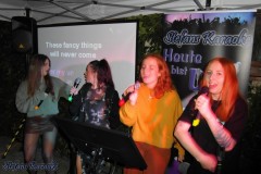 biergartenkaraoke_im_landgasthof_rosskothen_20250302_1731870206