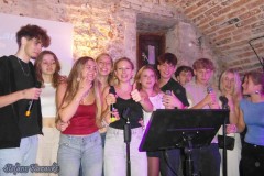 karaoke_bei_der_schlossparty_baumgarten_20_20241006_1036916093