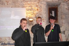 karaoke_bei_der_schlossparty_baumgarten_20240510_1666053237