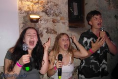karaoke_bei_der_schlossparty_baumgarten_20240612_1065894683