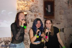 karaoke_bei_der_schlossparty_baumgarten_20240612_1121731217