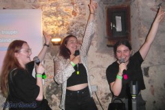 karaoke_bei_der_schlossparty_baumgarten_20240612_1526123776