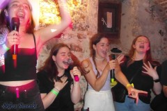 karaoke_bei_der_schlossparty_baumgarten_20240612_1607390523