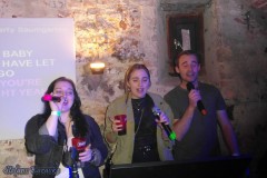 karaoke_bei_der_schlossparty_baumgarten_20240612_1945268636