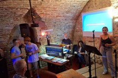 karaoke_bei_der_schlossparty_baumgarten_20250810_1366354892