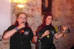 karaoke_bei_der_schlossparty_baumgarten_20250810_1439511723
