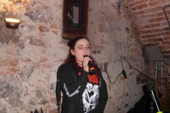 karaoke_bei_der_schlossparty_baumgarten_20250810_1744570700