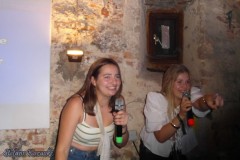 karaoke_bei_der_schlossparty_baumgarten_20240811_1713666913