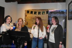 karaoke_im_irish_house_dublin_20260315_1327234917