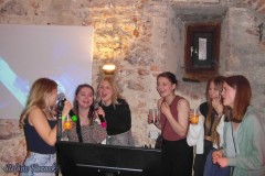 karaoke_bei_der_schlossparty_baumgarten_20240414_1027848385