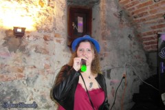 karaoke_bei_der_schlossparty_baumgarten_20240414_1604107290