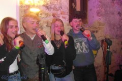 karaoke_bei_der_schlossparty_baumgarten_20250420_1703114320