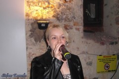 karaoke_bei_der_schlossparty_baumgarten_20260426_1721787766