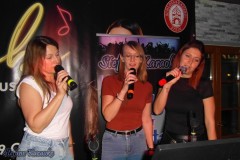 karaoke_in_der_laube_musikbar_20250427_1838340165