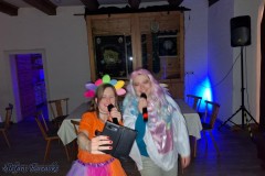 faschingskaraoke_im_landgasthof_rosskothen_20250302_1016054506.jpg