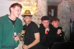 karaoke_bei_der_schlossparty_baumgarten_20260329_1309177128