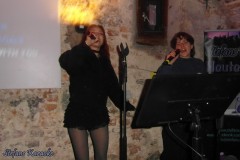 karaoke_bei_der_schlossparty_baumgarten_20260329_1446223001