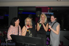 karaoke_im_coco_20241229_1451739205