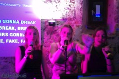 karaoke_bei_der_schlossparty_baumgarten_20260601_1637812614