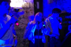 karaoke_bei_der_schlossparty_baumgarten_20260601_1705914989