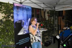 biergartenkaraoke_im_landgasthof_rosskothen_20250302_1618899130.jpg