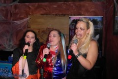 halloween-karaoke_im_irish_house_dublin_20241101_1218884241